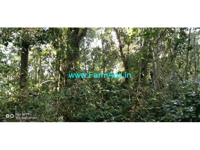 10 Acre Agriculture Land For Sale in Pachalur