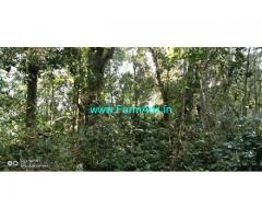 10 Acre Agriculture Land For Sale in Pachalur