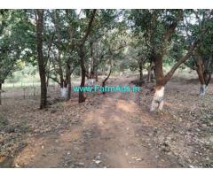 10 Acre Agriculture Land for Sale Near Karjat