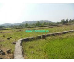 47 Gunta Agriculture Land for Sale Near Palghar