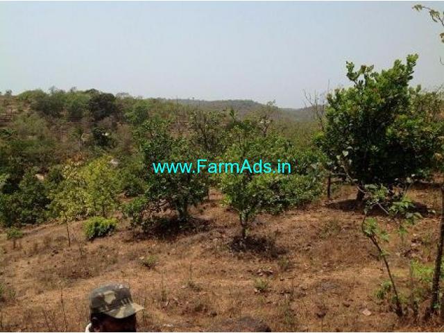 36 Gunta Agriculture Land for Sale Near Ratnagiri