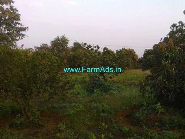 30 Guntha Agriculture Land for Sale Near Wawarle