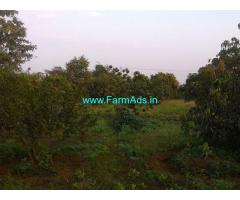 30 Guntha Agriculture Land for Sale Near Wawarle