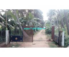 1.62 Acre Coconut Farm For Sale Near Mahalingapuram