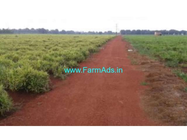 12 Acre Agriculture Land for Sale Near Jogipet