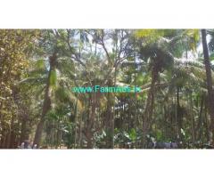 9.5 Acres Agriculture Land For Sale On Bogadhi road