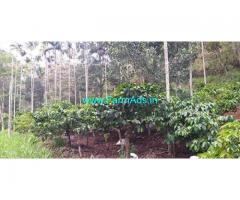 2.6 Acre Agriculture Land for Sale Near Wayanad