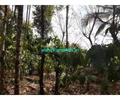 3.3 Acre Agriculture Land for Sale Near Wayanad