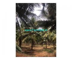 1.5 Acre Agriculture Land for Sale Near Periyapatti