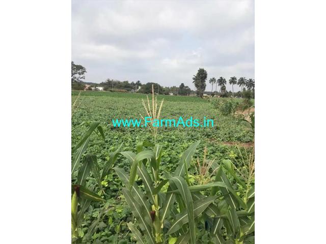 8.5 Acre Agriculture Land for Sale Near Vavipalayam