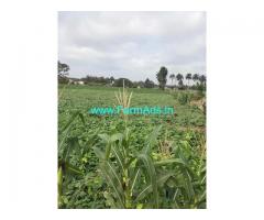 8.5 Acre Agriculture Land for Sale Near Vavipalayam