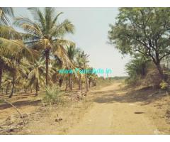 6.20 Acres Agriculture Land for Sale near Hiriyur,VV Sagara Road