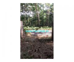 3 Acres Yielding Rubber Estate For Sale near Panavoor