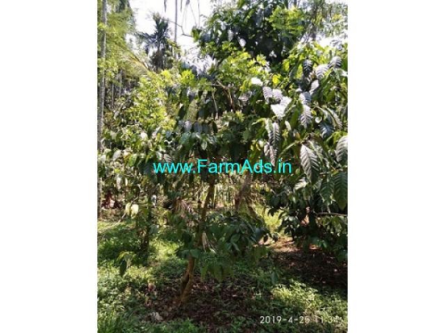 1 Acre Agriculture Land For Sale Near Wayanad