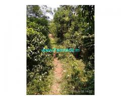 1 Acre Agriculture Land For Sale Near Wayanad