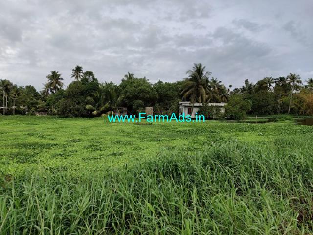 40 Cents Agricultural Land For Sale near Alappuzha