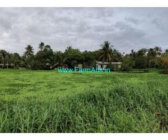 40 Cents Agricultural Land For Sale near Alappuzha