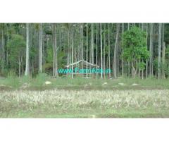 55 Cents Agriculture Land For Sale In Mananthavady
