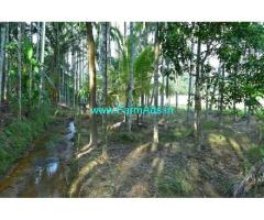 55 Cents Agriculture Land For Sale In Mananthavady
