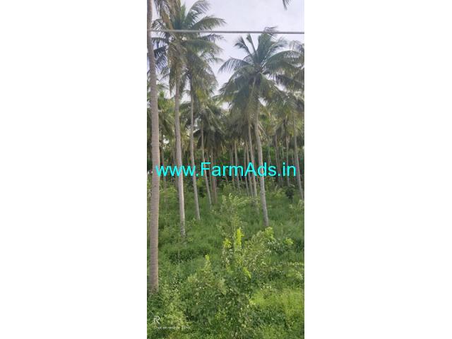 5 Acres agriculture land for sale near ORR Thichy