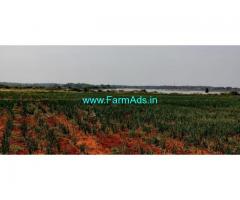 8 Acre Farm Land for Sale Near Hiriyur