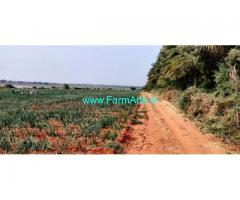 8 Acre Farm Land for Sale Near Hiriyur