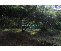 76 Cents Farm Land with Farm house For Sale near Theni,Sothupaarai dam