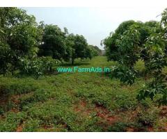 5 Acres Agriculture Land for Sale Near Ramapuram Mandal