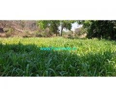 19 Gunta Agriculture Land for Sale Near Karjat