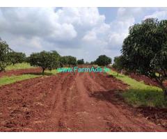 40 Gunta Agriculture Land for Sale Near Shinoli