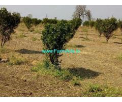 7 Acre Agriculture Land for Sale Near Rohankhed