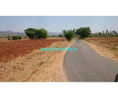 2.5 Acre Agriculture Land for Sale Near Thally,Kanakapura Road