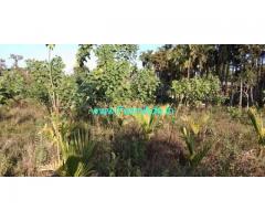 5.5 Acre Agriculture Land for Sale Near Mudigere