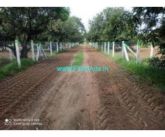 21.01 Cents Agriculture Land for Sale Near Mahabalipuram