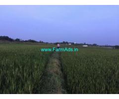 1.20 Acres Agriculture Land for Sale Near Tiruvallur