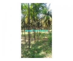 3 Acre Agriculture Land for Sale Near Tirupur