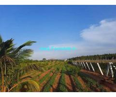 7 Acre Agriculture Land for Sale Near Udumalaippettai