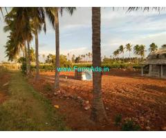 6.80 Acre Agriculture Land for Sale Near Palladam