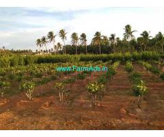 6.80 Acre Agriculture Land for Sale Near Palladam