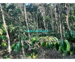 3 Acre Agriculture Land for Sale Near Mananthavady