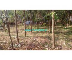 50 Cent Agriculture Land For Sale In Kutting