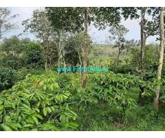 1.5 Acre Agriculture Land for Sale Near Mananthavady