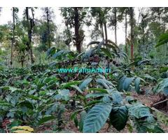 1.5 Acre Coffee Land for Sale Near Kattikulam