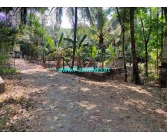 28 Acre Agriculture Land for Sale Near Kongad