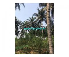 4 Acre Agriculture Land for Sale Near Periyapatti