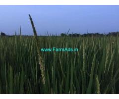 1.20 Acre Agriculture Land for Sale Near Seethanjeri