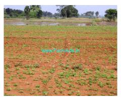 1 Acre Agriculture Land for Sale near Gudlur Mandal