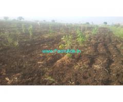 20 Guntha Agriculture Land For Sale In Vikarabad
