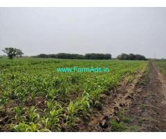 12.04 Acre Farm Land For Sale In Jambgi