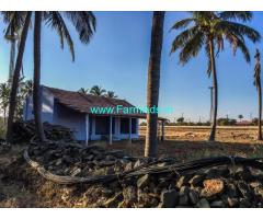 Agriculture Land with Coconut Farm for sale at udumelpet